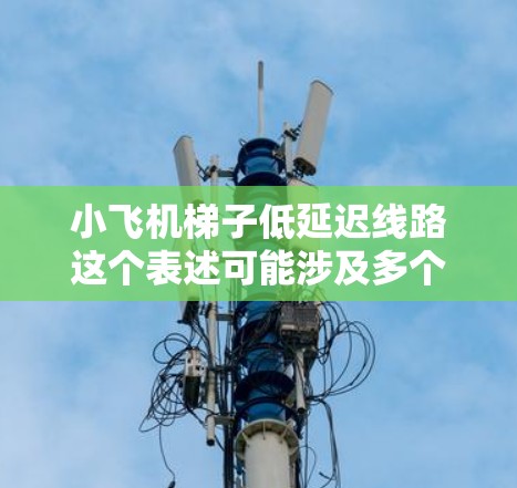 小飞机梯子低延迟线路这个表述可能涉及多个领域,具体含义取决于上下文。以下是一些可能的解释和方向