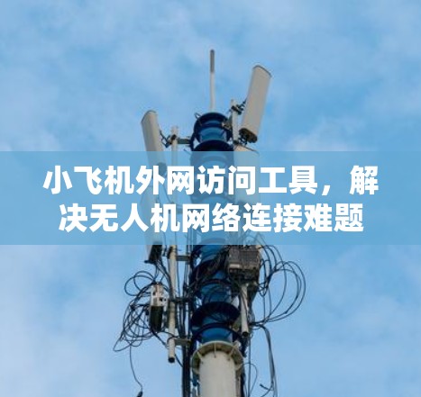 小飞机外网访问工具,解决无人机网络连接难题