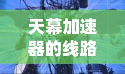 天幕加速器的线路检测对于确保实验的成功和安全至关重要。作为新手,以下步骤可以帮助您系统地进行线路检测