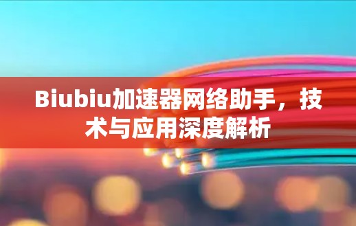 Biubiu加速器网络助手,技术与应用深度解析