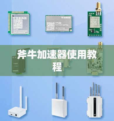 斧牛加速器使用教程 斧牛加速器使用教程