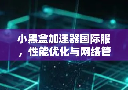 小黑盒加速器国际服，性能优化与网络管理新方案