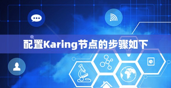 配置Karing节点的步骤如下 配置Karing节点的步骤如下
