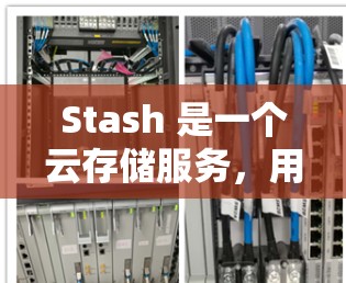 Stash 是一个云存储服务,用户可以通过网页或手机应用来管理和同步文件。要下载 Stash,首先需要访问其官方网站或应用商店获取