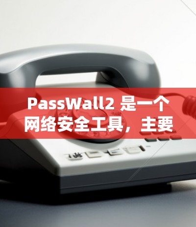 PassWall2 是一个网络安全工具，主要用于管理网络访问权限，确保只有授权的设备和用户可以访问内部网络。对于路由配置，以下是一些常见的步骤和建议