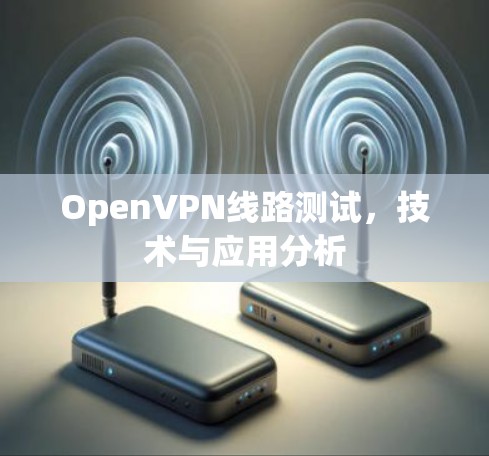 OpenVPN线路测试,技术与应用分析