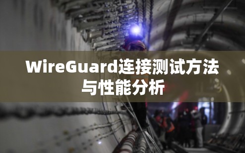 WireGuard连接测试方法与性能分析