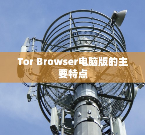 Tor Browser电脑版的主要特点