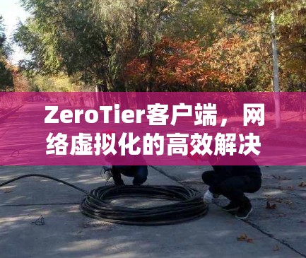 ZeroTier客户端,网络虚拟化的高效解决方案