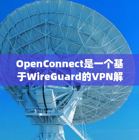 OpenConnect是一个基于WireGuard的VPN解决方案，安装和配置相对简单。以下是使用OpenConnect的分步指南