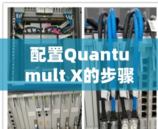 配置Quantumult X的步骤如下 配置Quantumult X的步骤如下