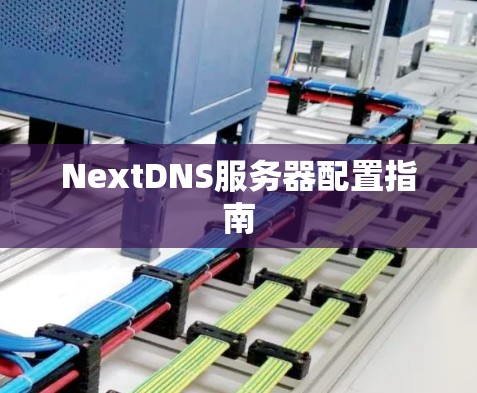 NextDNS服务器配置指南 NextDNS服务器配置指南