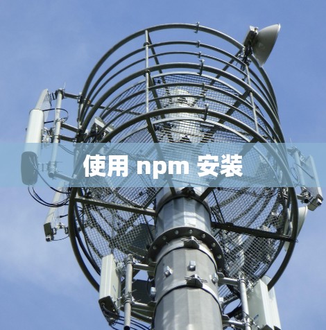 使用 npm 安装 使用 npm 安装