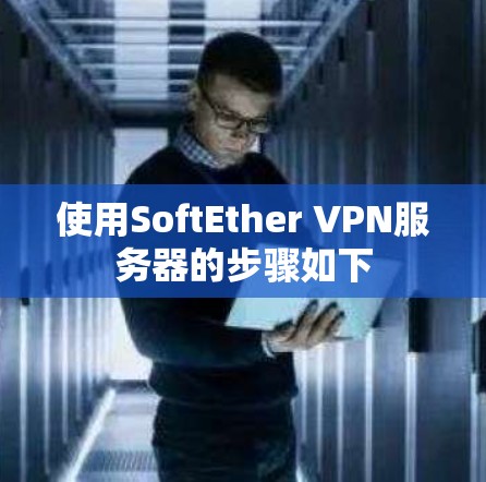 使用SoftEther VPN服务器的步骤如下