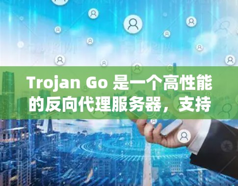 Trojan Go 是一个高性能的反向代理服务器,支持 HTTP 和 HTTPS。以下是设置 Trojan Go 服务器的步骤