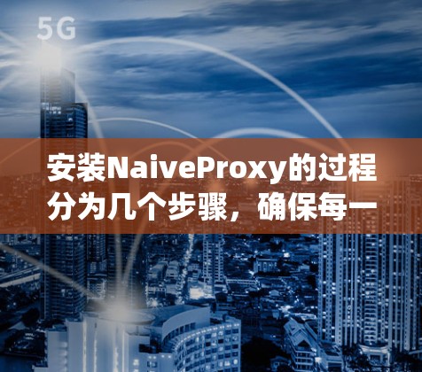 安装NaiveProxy的过程分为几个步骤,确保每一步都正确执行以避免问题。以下是详细的步骤指南 安装NaiveProxy的过程分为几个步骤,确保每一步都正确执行以避免问题。以下是详细的步骤指南
