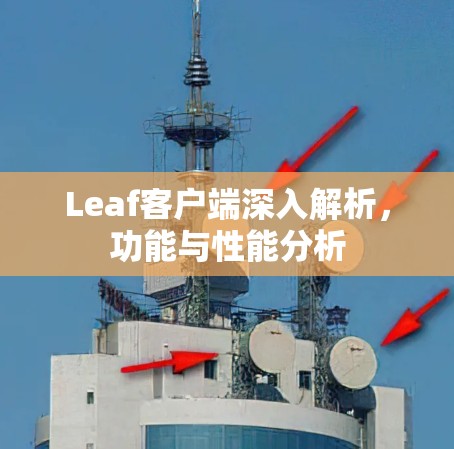 Leaf客户端深入解析,功能与性能分析 Leaf客户端深入解析,功能与性能分析