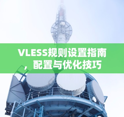 VLESS规则设置指南，配置与优化技巧