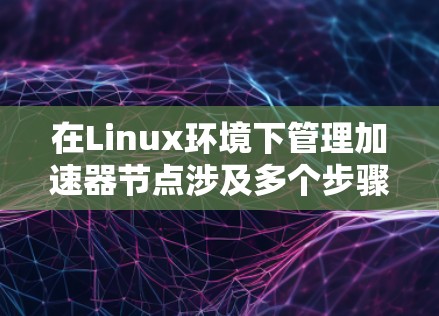 在Linux环境下管理加速器节点涉及多个步骤和考虑因素,以下是详细的指南