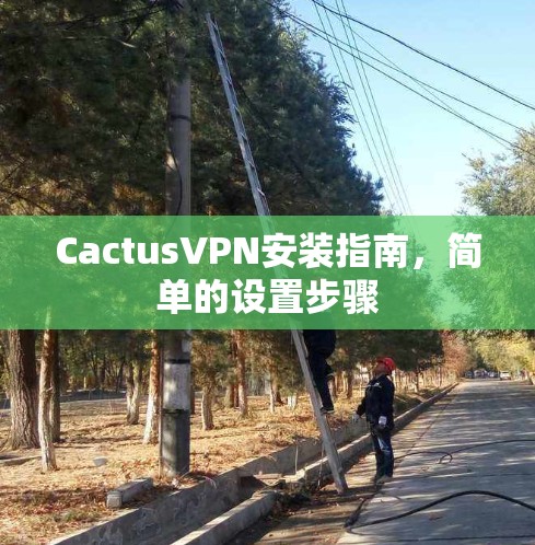 CactusVPN安装指南,简单的设置步骤
