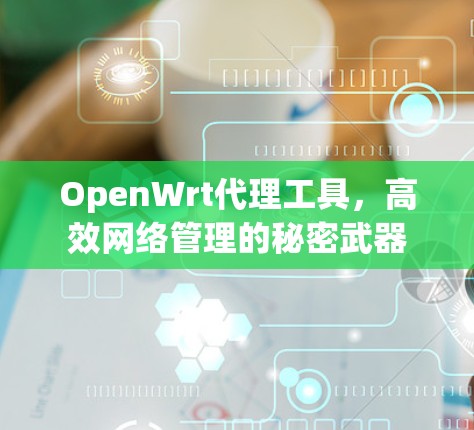 OpenWrt代理工具，高效网络管理的秘密武器