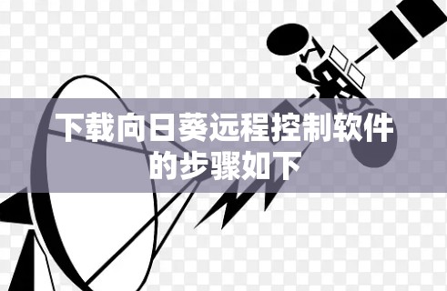 下载向日葵远程控制软件的步骤如下