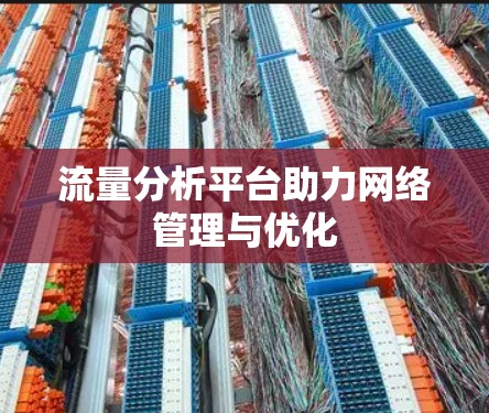 流量分析平台助力网络管理与优化