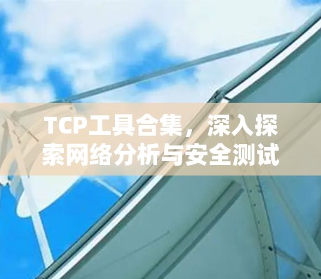 TCP工具合集,深入探索网络分析与安全测试 TCP工具合集,深入探索网络分析与安全测试