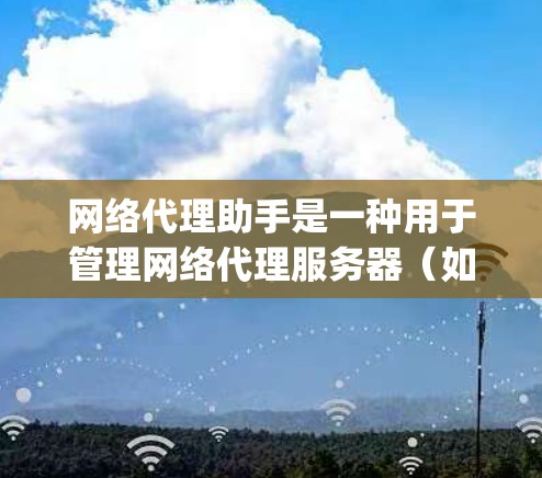 网络代理助手是一种用于管理网络代理服务器（如SOA、API Gateway等）的工具，它可以帮助用户更高效地配置和管理网络流量。以下是使用网络代理助手的分步指南