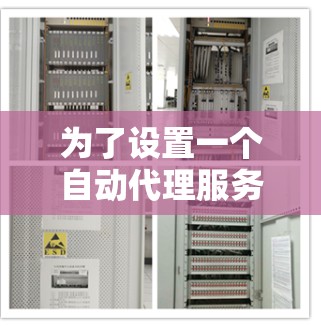 为了设置一个自动代理服务器，以下是一步步的指南
