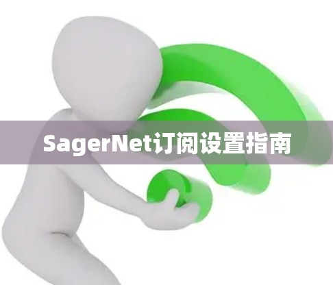 SagerNet订阅设置指南 SagerNet订阅设置指南