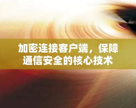 加密连接客户端,保障通信安全的核心技术