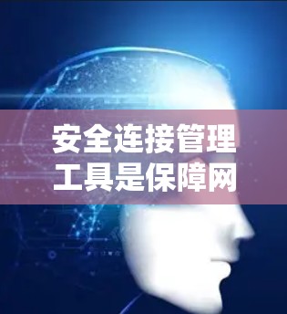 安全连接管理工具是保障网络安全的重要组成部分,帮助用户有效识别和应对潜在的安全威胁。以下是关于安全连接管理工具的详细分析和建议 安全连接管理工具是保障网络安全的重要组成部分,帮助用户有效识别和应对潜在的安全威胁。以下是关于安全连接管理工具的详细分析和建议