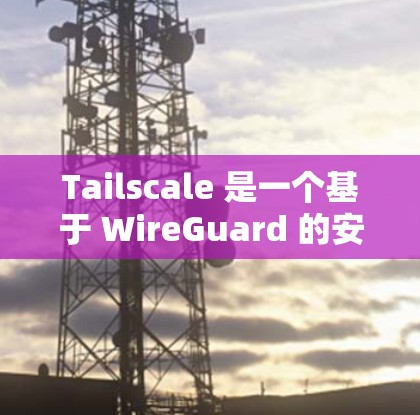 Tailscale 是一个基于 WireGuard 的安全点对点网络协议，专门用于建立快速、安全的网络连接。以下是关于 Tailscale 网络连接的详细指南
