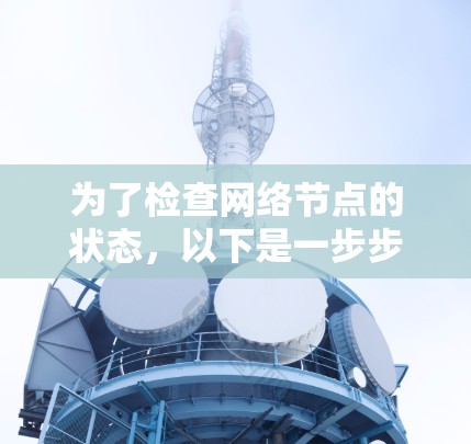 为了检查网络节点的状态,以下是一步步的指南 为了检查网络节点的状态,以下是一步步的指南