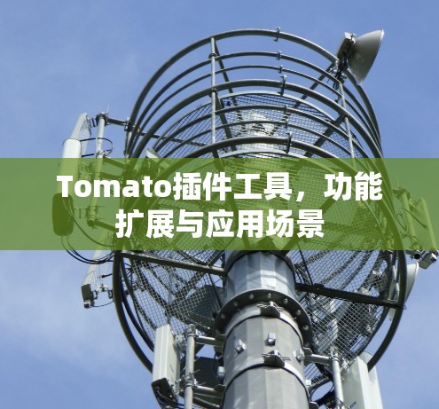 Tomato插件工具,功能扩展与应用场景 Tomato插件工具,功能扩展与应用场景