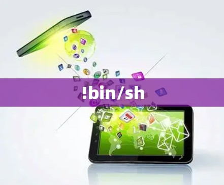 !bin/sh