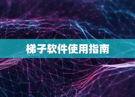 梯子软件使用指南