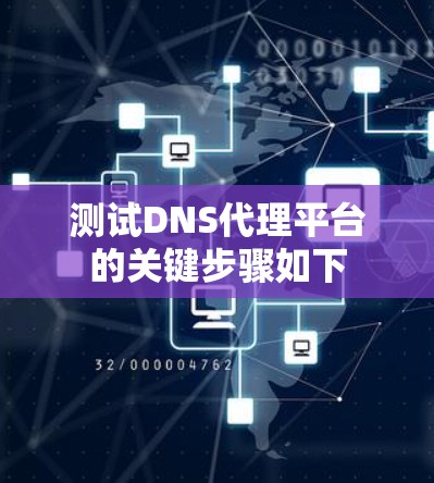测试DNS代理平台的关键步骤如下 测试DNS代理平台的关键步骤如下