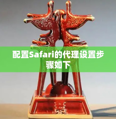 配置Safari的代理设置步骤如下 配置Safari的代理设置步骤如下