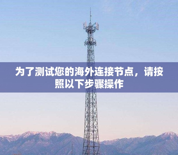 为了测试您的海外连接节点,请按照以下步骤操作 为了测试您的海外连接节点,请按照以下步骤操作