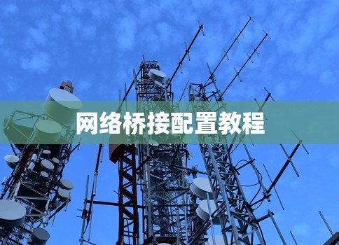 网络桥接配置教程