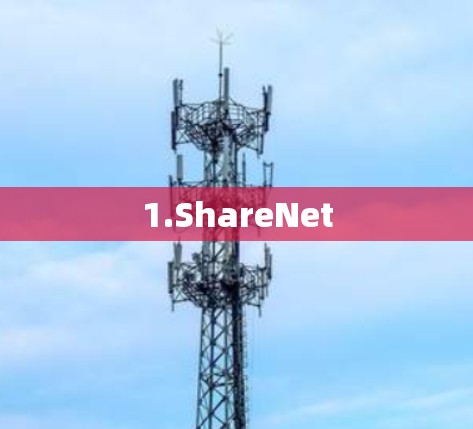 1.ShareNet