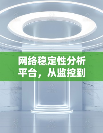 网络稳定性分析平台,从监控到优化的全方位保障