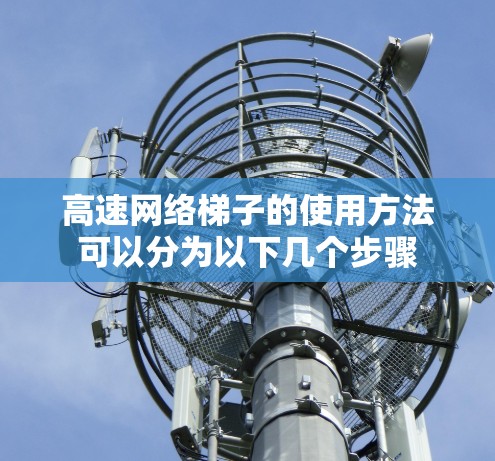 高速网络梯子的使用方法可以分为以下几个步骤