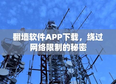 翻墙软件APP下载，绕过网络限制的秘密