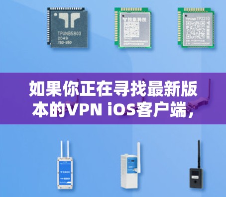 如果你正在寻找最新版本的VPN iOS客户端，可以按照以下步骤操作