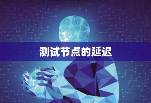测试节点的延迟