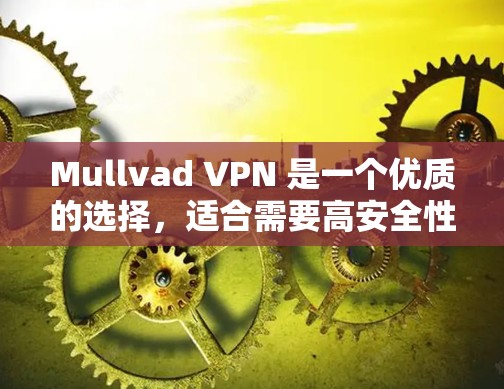 Mullvad VPN 是一个优质的选择,适合需要高安全性和隐私保护的用户。以下是对其的详细分析和建议