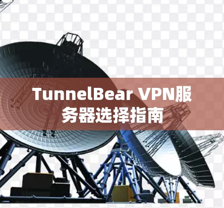 TunnelBear VPN服务器选择指南